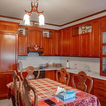 Βίλα Για Όλες Τις Εποχές Του Χρόνου Kozani Exterior photo