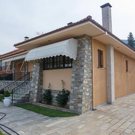 Βίλα Για Όλες Τις Εποχές Του Χρόνου Kozani Exterior photo