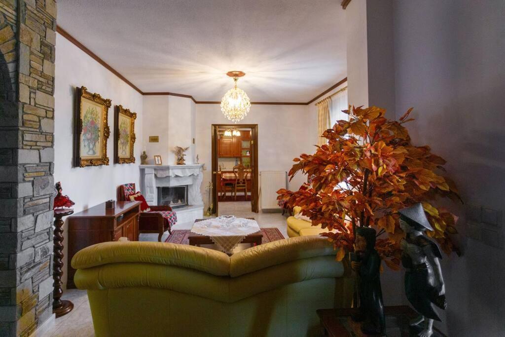 Βίλα Για Όλες Τις Εποχές Του Χρόνου Kozani Exterior photo