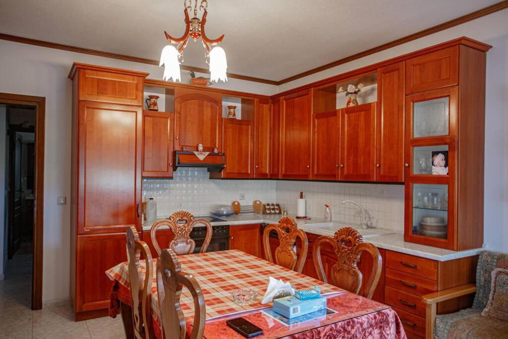 Βίλα Για Όλες Τις Εποχές Του Χρόνου Kozani Exterior photo