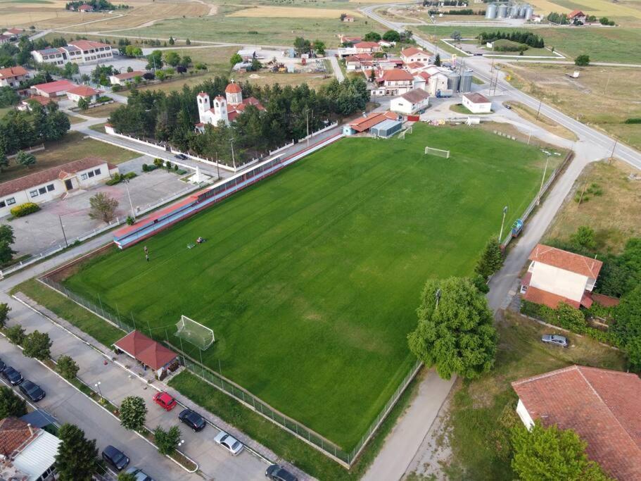Βίλα Για Όλες Τις Εποχές Του Χρόνου Kozani Exterior photo