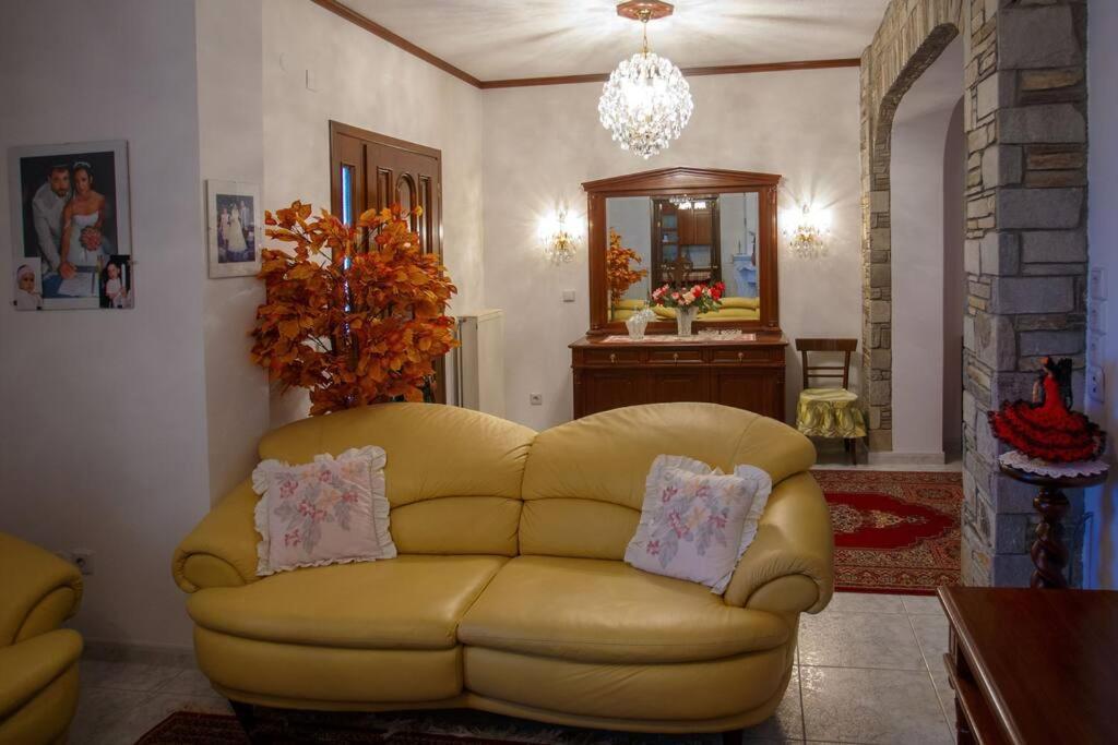 Βίλα Για Όλες Τις Εποχές Του Χρόνου Kozani Exterior photo