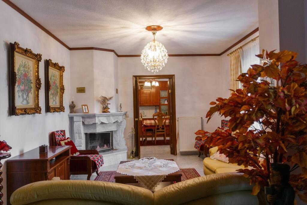 Βίλα Για Όλες Τις Εποχές Του Χρόνου Kozani Exterior photo